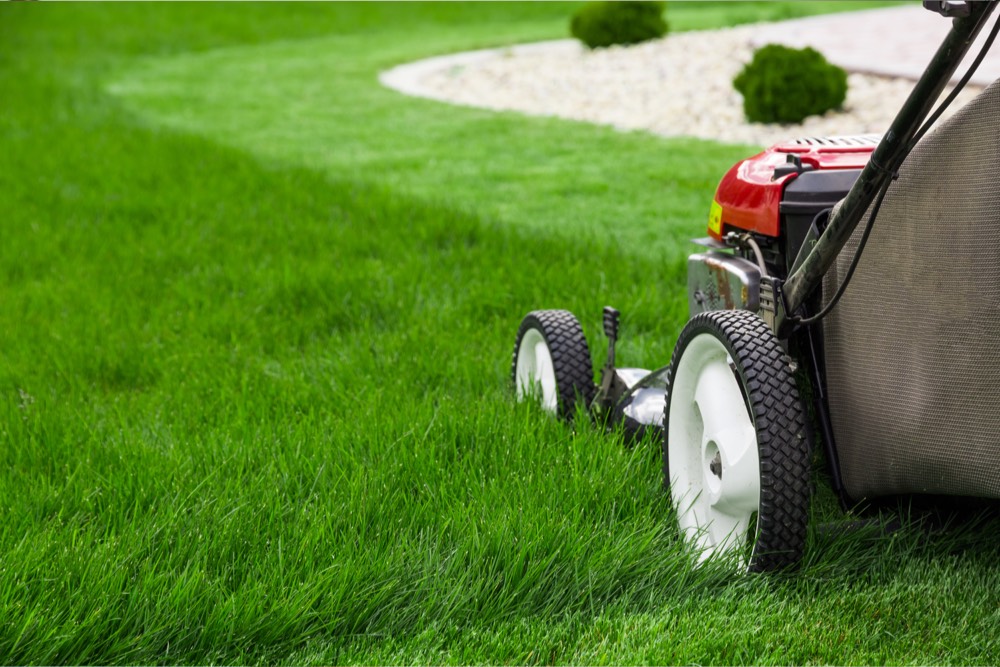 Environmentally Friendly Lawn Care Tips