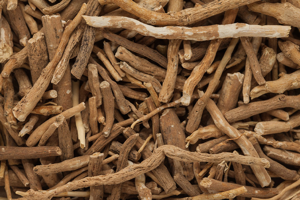Natural Remedies to Manage Multiple Sclerosis