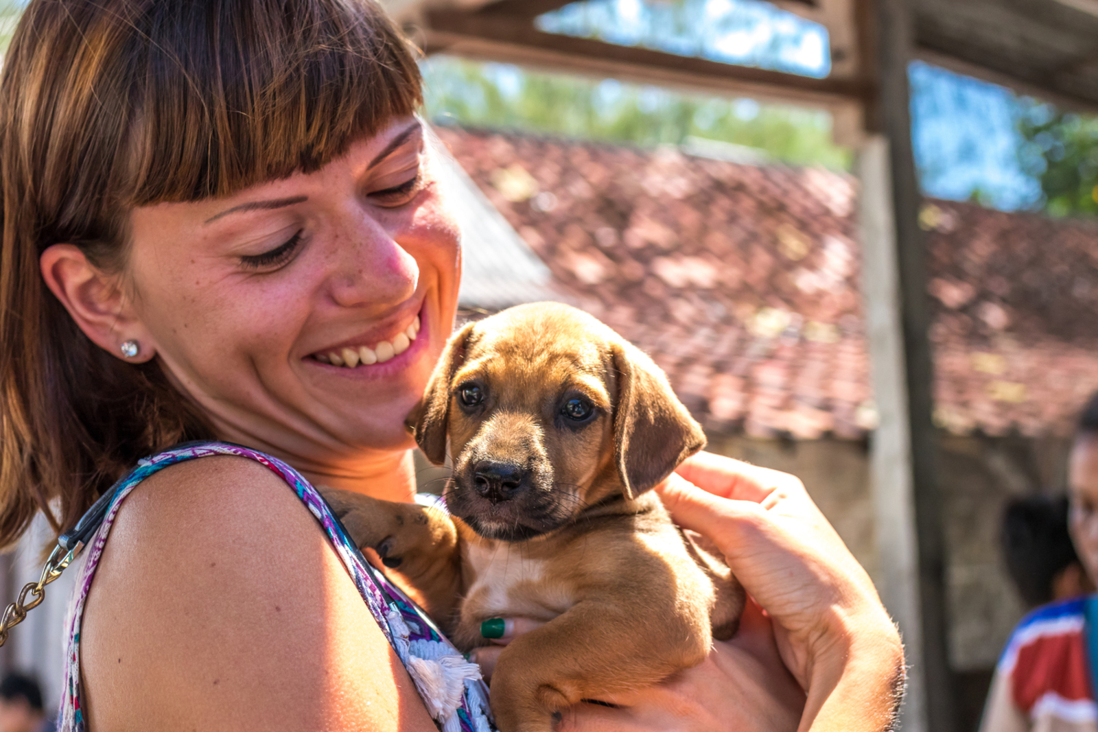 What is the Dog Trying to Say?